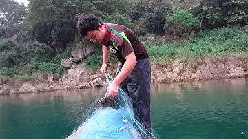 BẮT CÁ SÔNG ĐÀ • Đi Thu Lưới Gặp Trúng Đàn Cá Rô Sông Đà • TLX Vlog