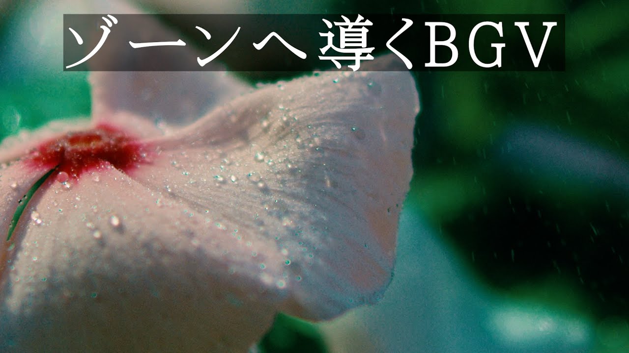 美しい花 集中力を授ける 仕事 勉強 作業用bgv 作業用bgv 勉強用bgv Youtube