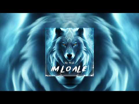 DJ Im Lo Ale New Remix 2024 | Breakbeat Stadium Series Vol 17