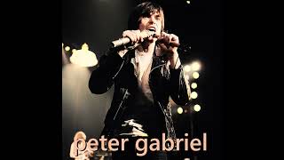 Peter Gabriel - Here Comes the Flood