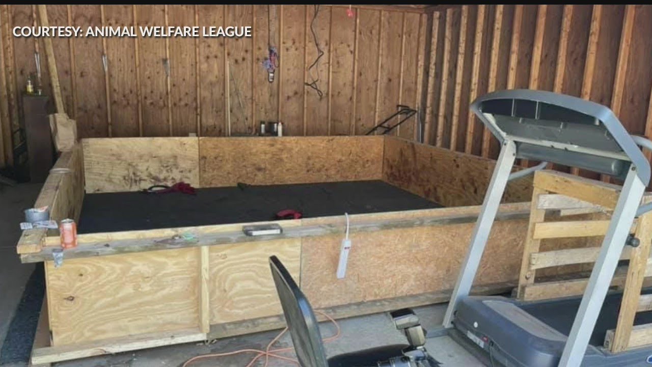 Warren police report finding ‘elaborate’ dog-fighting operation during drug investigation