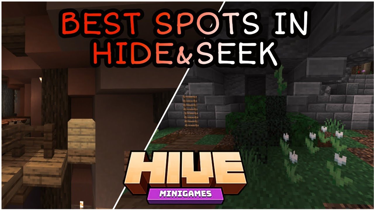 Hive hide & seek