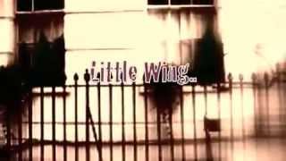 Video thumbnail of "Jimi Hendrix - Little Wing Instrumental"