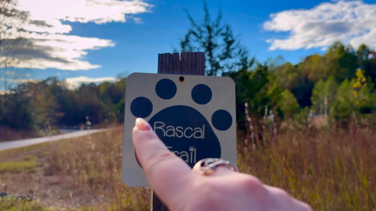 ASMR Walk In The Woods 🌳🍁✨