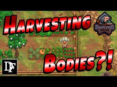 Stardew Valleys Dark Cousin Graveyard Keeper Youtube