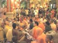 Hare Krsna Kirtan At Sri Vrindavan Dham w/ Aindra Prabhu ep8