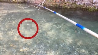 北海道で1番綺麗な川で渓流釣り 3投目の奇跡 魚釣り系you Tuberまとめサイト Fishing