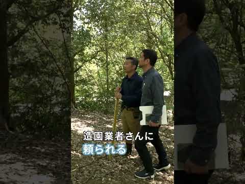 【採用情報】農園で働こう　樹木と向き合う それがプロへの　第一歩になる　【若生植木農園】 #造園  #植木販売