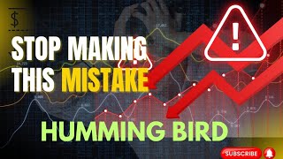 How to Optimize for Google Hummingbird Google Humming Bird Algorithm update #googlealgorithm #Seo 