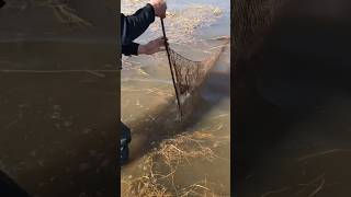 Проверка Фитиля Рыбалка В Сибири
