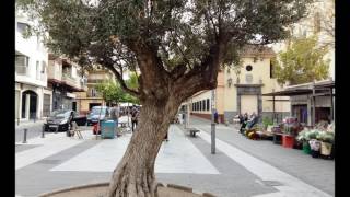 PLAZA DE LOS AGUSTINOS