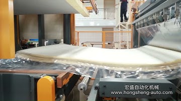 Auto Compression and Roll Packing Machine For Foam Blocks#compression #roll packing#foam