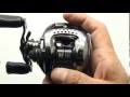 DAIWA 2014 New Model STEEZ Limited. SV.