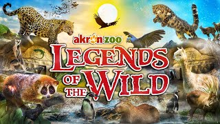 Zoo Tours: Legends of the Wild | Akron Zoo