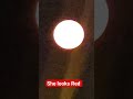 Red Moon this morning #moon #moonlovers #redmoon #beautiful #nature #moonknight #love #skywatchers