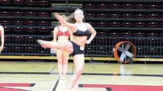 Introducing your 2015-2016 Rutgers University Dance Team