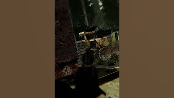 1st Guy Is Lost in Stalker Gamma #shorts #stalker2 #stalker #anomaly #stalkeranomaly #fps #games