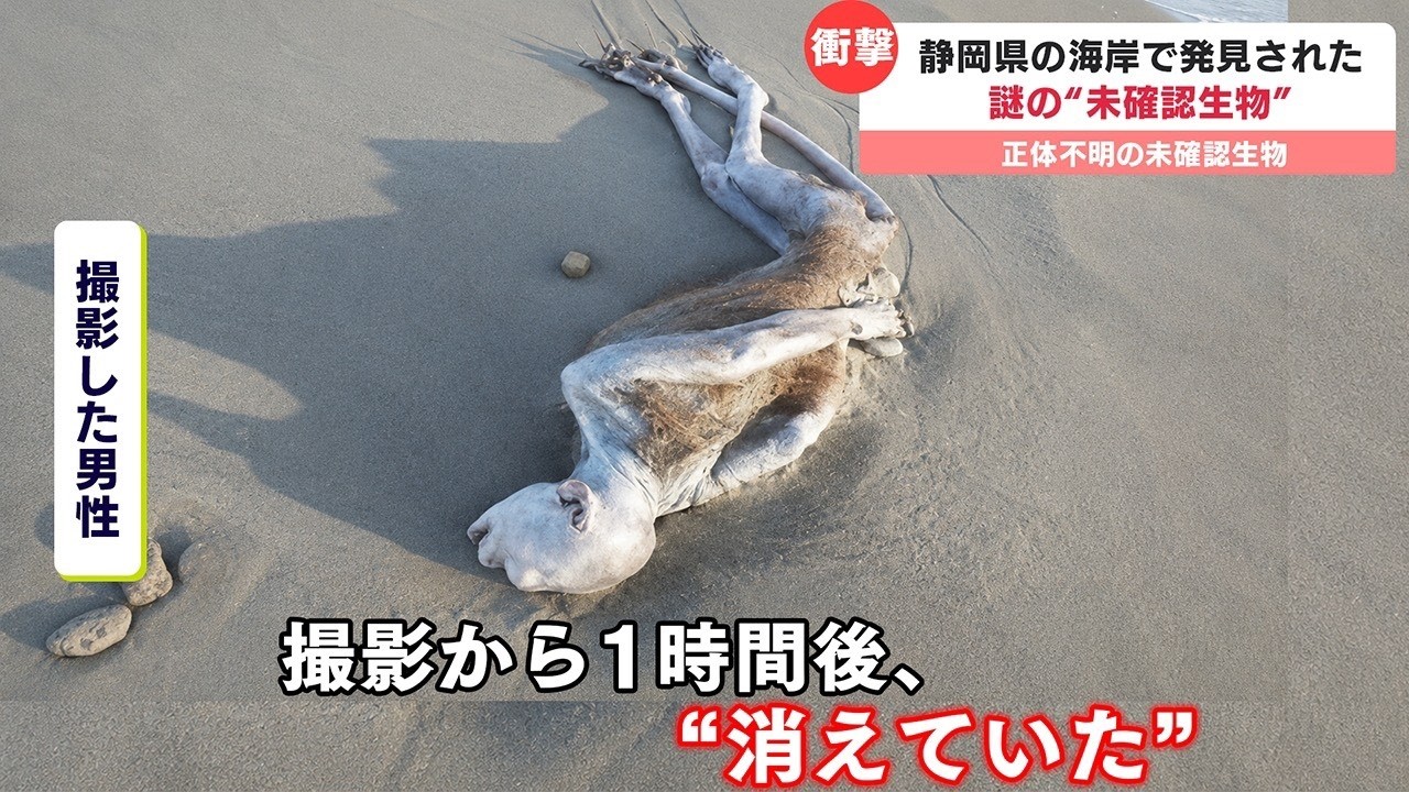 【新作】聞いたら眠れなくなる危険な海の雑学がツッコミどころ満載だったwwwwww 【なろ屋】【ツッコミ】