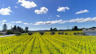 Silverado Lot for Sale | 105 Canyon Drive, Napa, CA