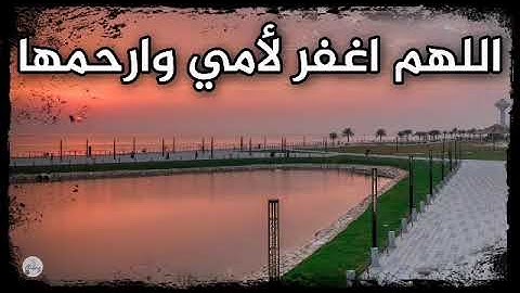 سورة النحل من الآية ٦١ إلى الآية ٧٠