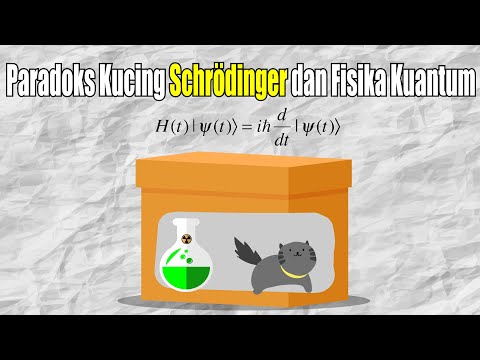 Video: Apa itu eksperimen Schrodinger?