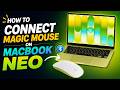 How to Connect Magic Mouse on Mac? Guide to Connect Magic Mouse on Macbook Neo?