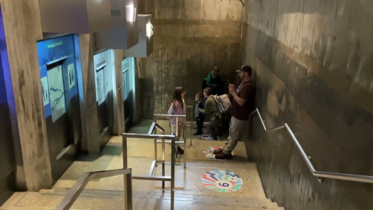 The Arch Tram of the Arch in St Louis 2023