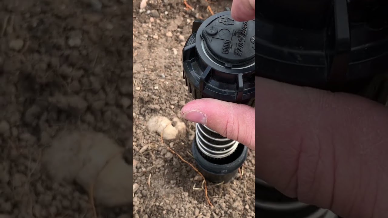 How To Adjust A Rainbird 5000 Sprinkler Head Sprinklers Sprinklersystem