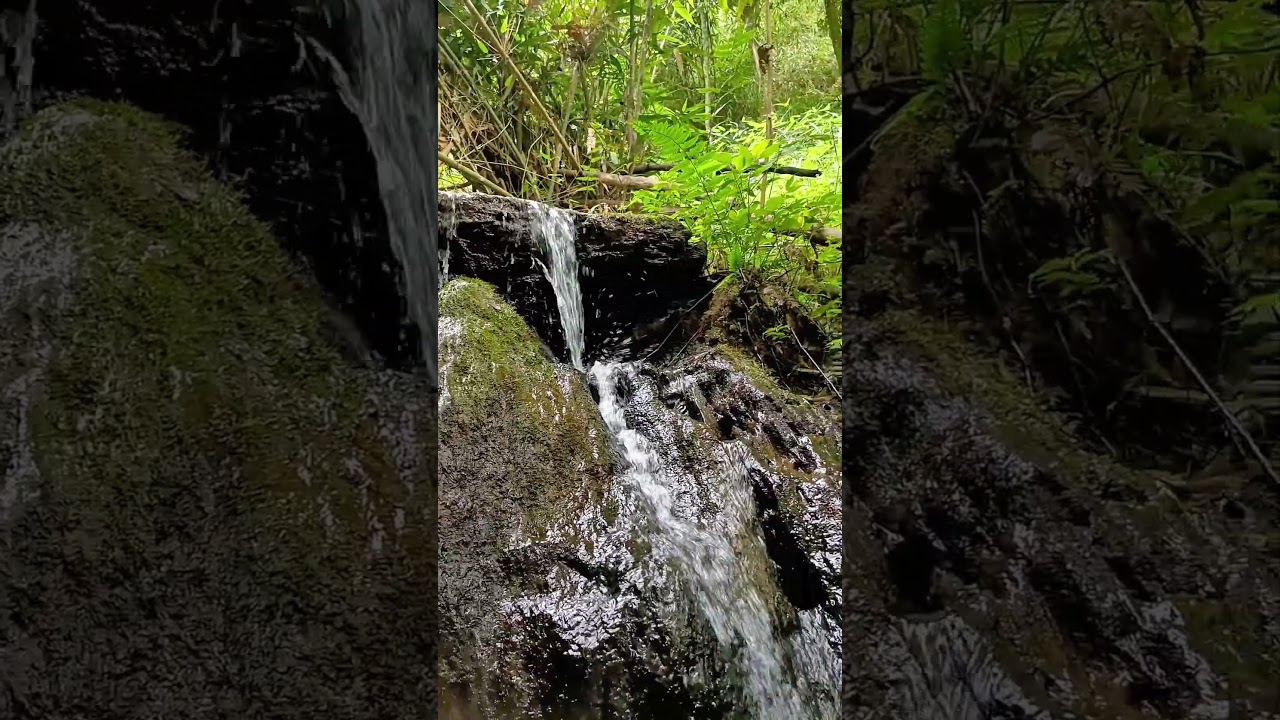 Unreal Forest Escape - Relaxation Movie with Deep Meditation Music in 4K