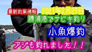 最新釣果情報 21年2月27日 勝浦港でサビキをしたら 小魚爆釣 アジも釣れました Youtube 最新釣果情報 21年2月27日 勝浦港でサビキをしたら 小魚爆釣 アジも釣れました Youtube