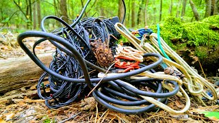 видео: Сколько меди можно найти  во время металлопоиска в лесу картинка: Сколько меди можно найти  во время металлопоиска в лесу