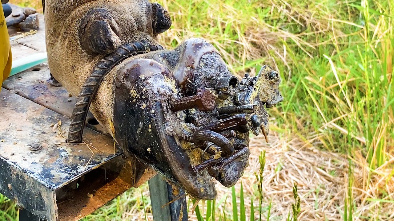 HELPING COW HOOF, CLEANING AND REMOVING SCREW CAREFULLY.