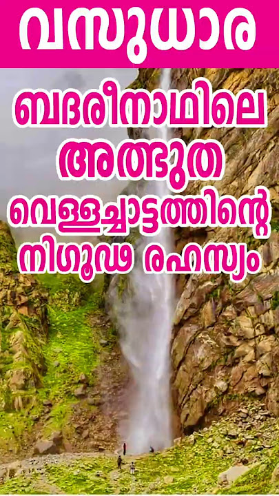 Amazing waterfall in Badrinath | Vasudhara | Vasudhara Falls | #vasudhara #badrinath