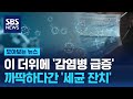 이 더위에 &#39;감염병 급증&#39;…까딱하다간 &#39;세균 잔치&#39; / SBS / 모아보는 뉴스