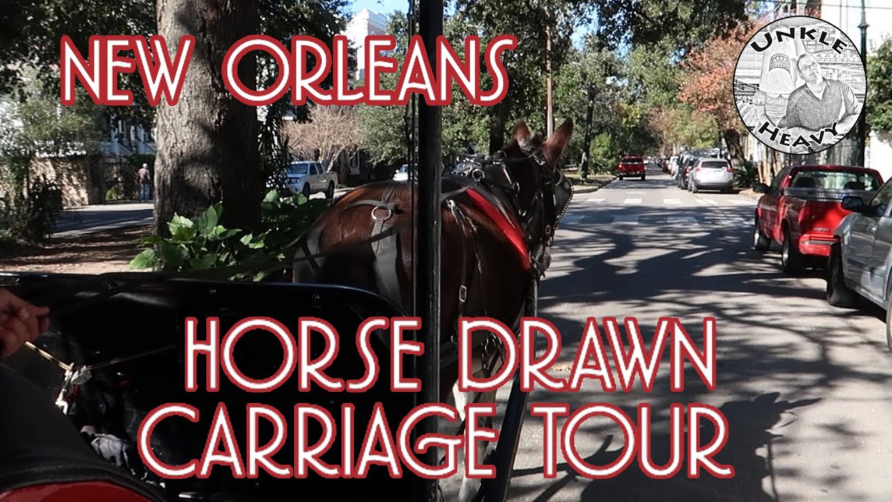 new orleans horse tour