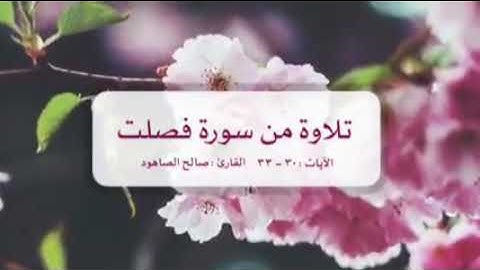 تلاوة من سورة فصلت  القارئ صالح الصاهود