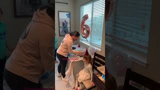 Everything Was Great Until She Dropped The Cake.