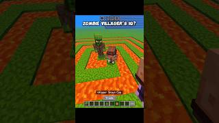 Minecraft Zombie Villager 💀#minecraft #shorts