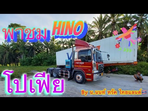 พาชม HINO โปเฟีย ดาวมา8.0แสนจะส่งเดือนเท่าไร หัว หาง