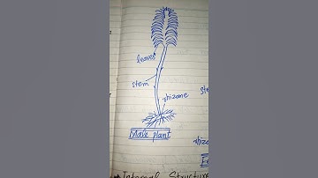 Polytrichum coming soon. #shortvideos  #reproduction #polytrichum #thepoolofscience