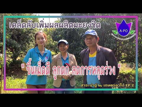 วีดีโอ: เคล็ดลับสำหรับผู้หญิงเข็ม: วิธีเพิ่มผลผลิต