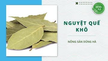Lá nguyệt quế là lá gì? Có công dụng gì? Lá nguyệt quế khô mua ở đâu?
