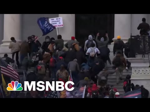 Study: Race Motivated Violent Pro-Trump Mob On January 6 | The Last Word | MSNBC