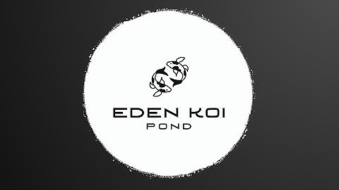 Building My DREAM pond pt 4 - Concrete base and installing bottom drain!