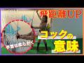 【飛距離アップレッスン③】「コック」を入れるとヘッドスピードが上がる！ #ゴルフ女子 #golf