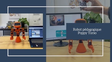 Robot Poppy Torso - Leobotics