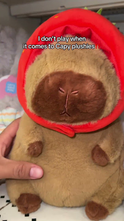 It’s mine!🤣 #capybara