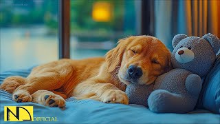 Dog Calming Music for Sleep & Anxiety Relief 🐶🎶 No Ads | Relaxing Music for Dogs screenshot 4
