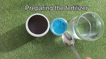 How to Propagate Java Moss for Aquariums & Paludariums 🌿 | Step-by-Step Guide  #paludarium