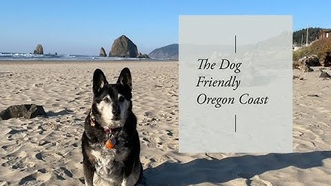 Dog Friendly Oregon | The Oregon Coast | Cannon Beach, Manzanita, Astoria